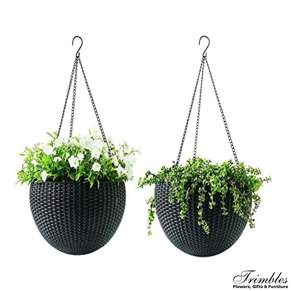 Hanging Baskets Buy Online Now Trimbles