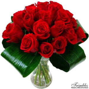 Elegant 24 vibrant Ecuadorian red roses with green leaves in a chic vase.