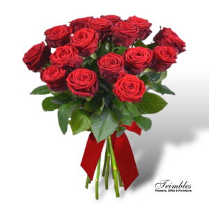 18 lush Ecuadorian red roses tied with a velvet ribbon, ideal Valentine's Flowers.