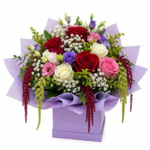Amaranthus Elegance (Bank Holiday special)