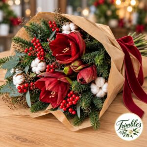 Luxury Christmas Amaryllis Bouquet